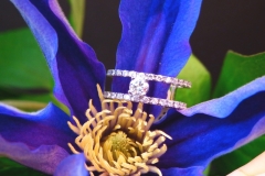 Bague multidiamants, or blanc 18K