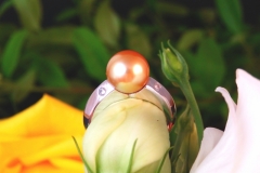 Bague Perle Gold et diamants, or blanc 18K