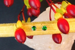 Boucles d'oreilles grenats tsavorite, or blanc 18K